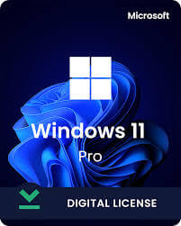 Windows 11 Pro Life Time Activation License Key Sticker