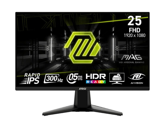 Msi MAG 255XF 300Hz 0.5ms Rapid IPS 25-inch FHD Gaming Monitor
